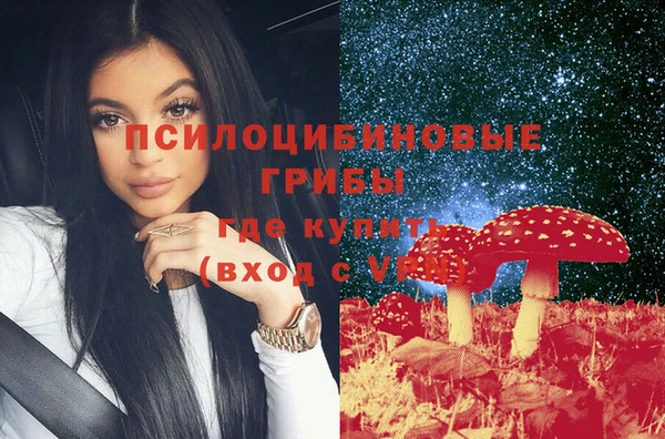 мескалин Алексин