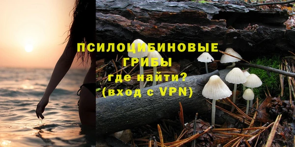 СК Алзамай