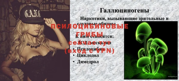 стафф Алексеевка